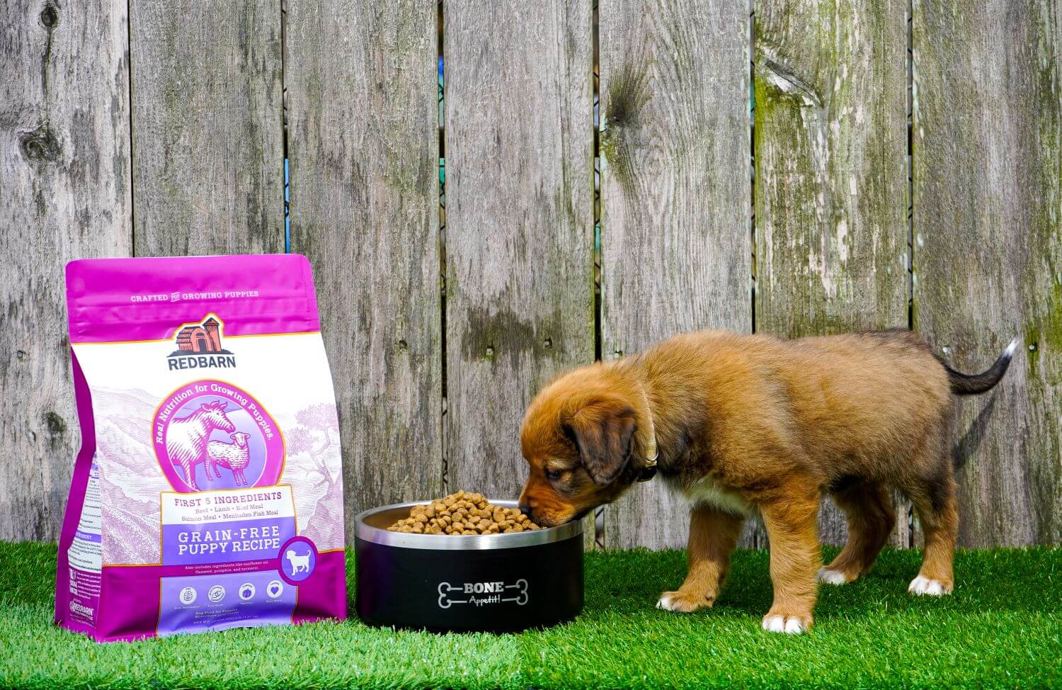First-Five Kibble Grain-Free Puppy Beef & Lamb Recipe