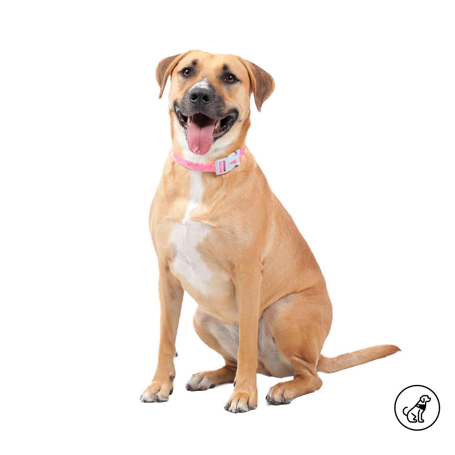 Collar para perro Mylu L Rosada
