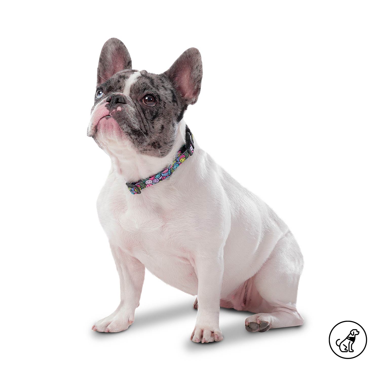 Collar Ajustable Mylu Grande Para Perro