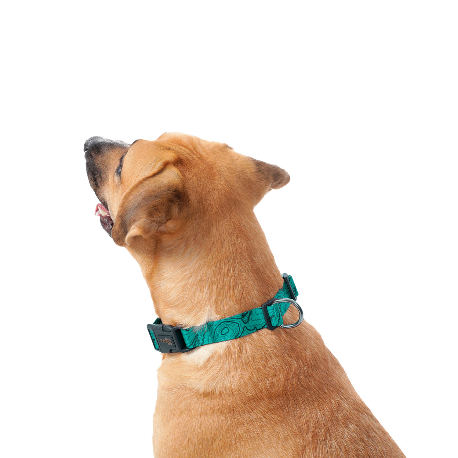 Collar para perro Mylu Xl Verde