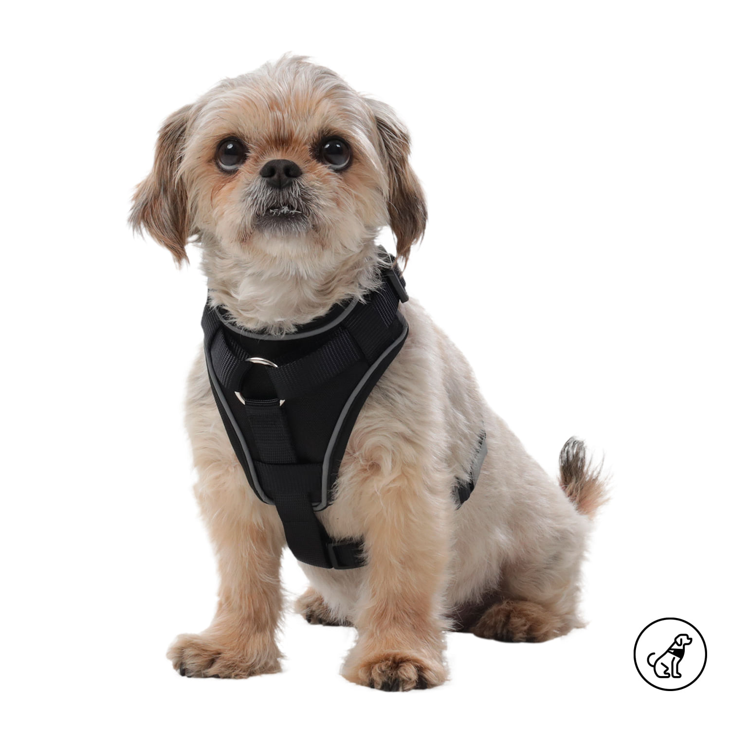 Arnés pechera para mascota Taco Xs Negro