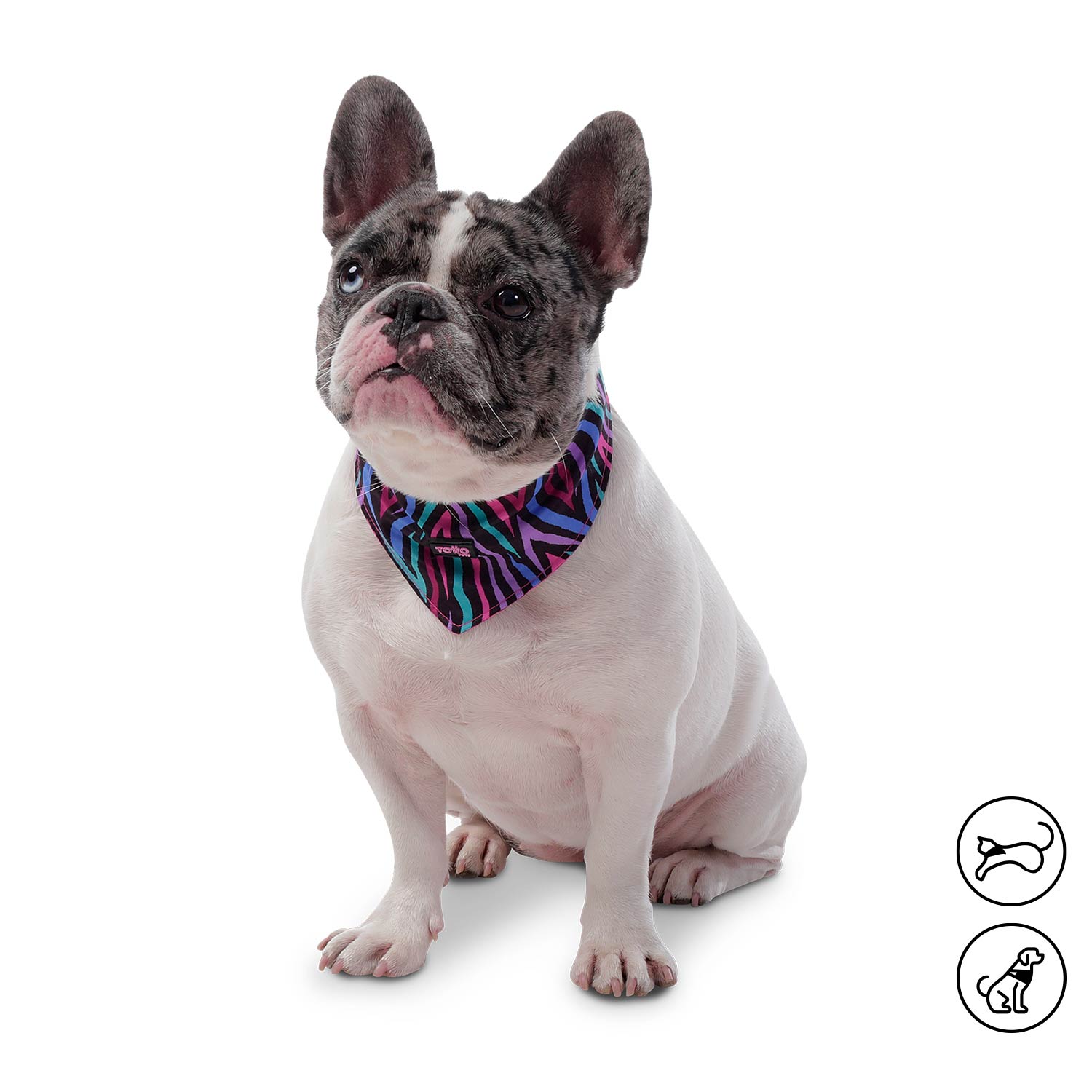 Pañoleta Menta 2.0 Grande Para Mascota