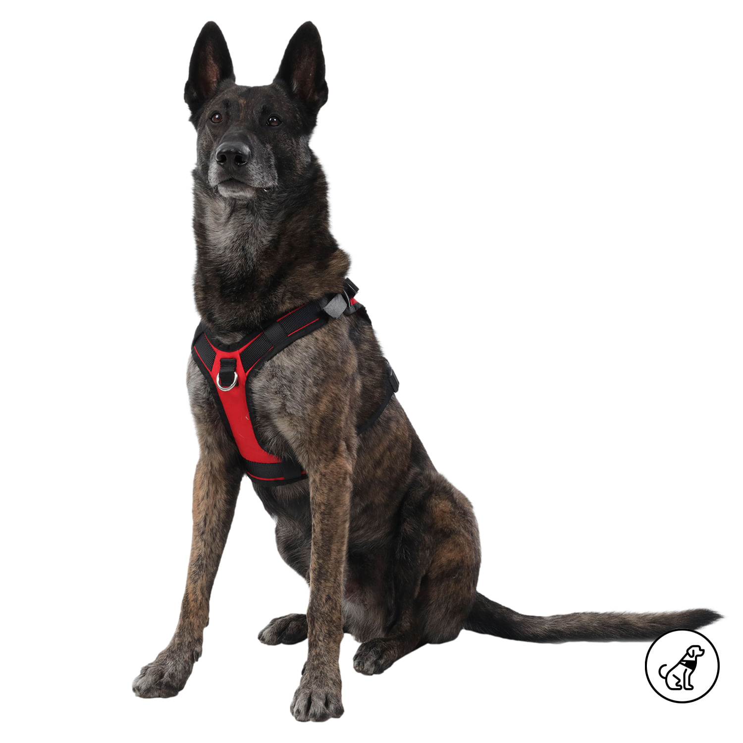 Arnés Pechera para Perro Rex M Rojo