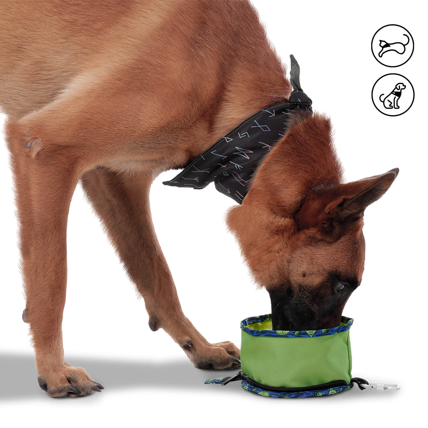 Comedero Bebedero para mascotas Portatil Vito Azul