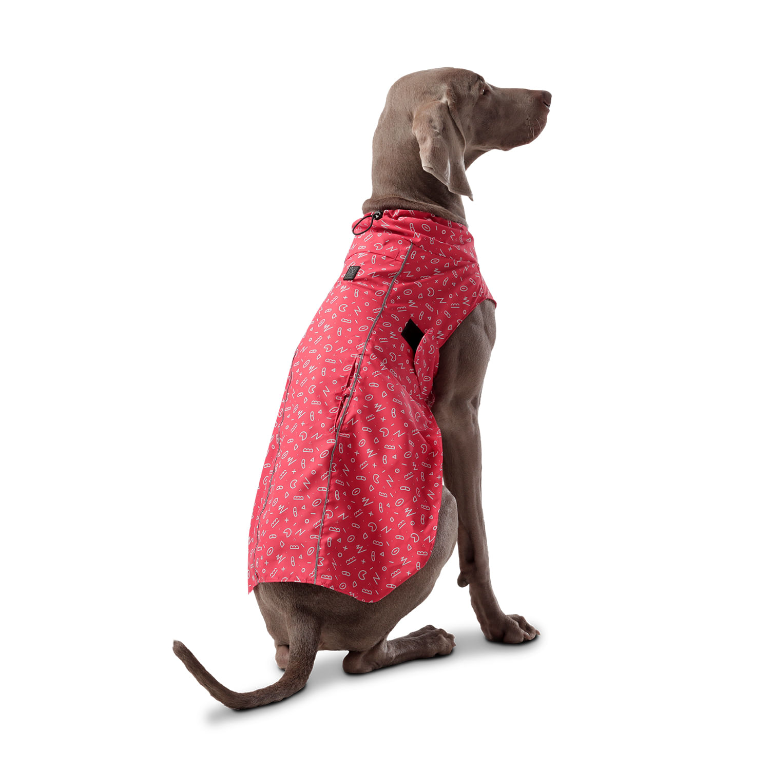 Capa Lluvia Mascota Sussy L