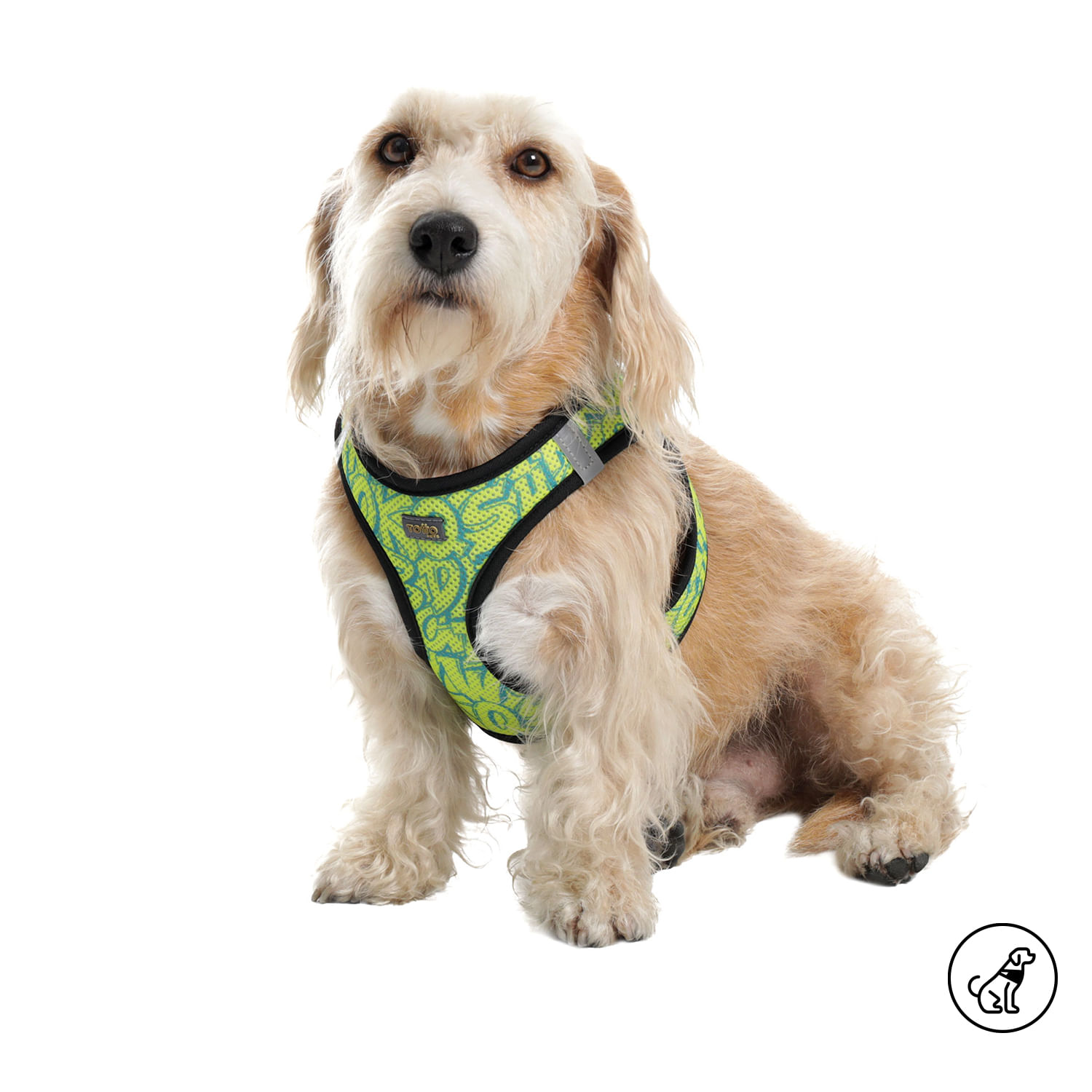 Arnés Pechera para Perro-Gato Toby M Amarillo