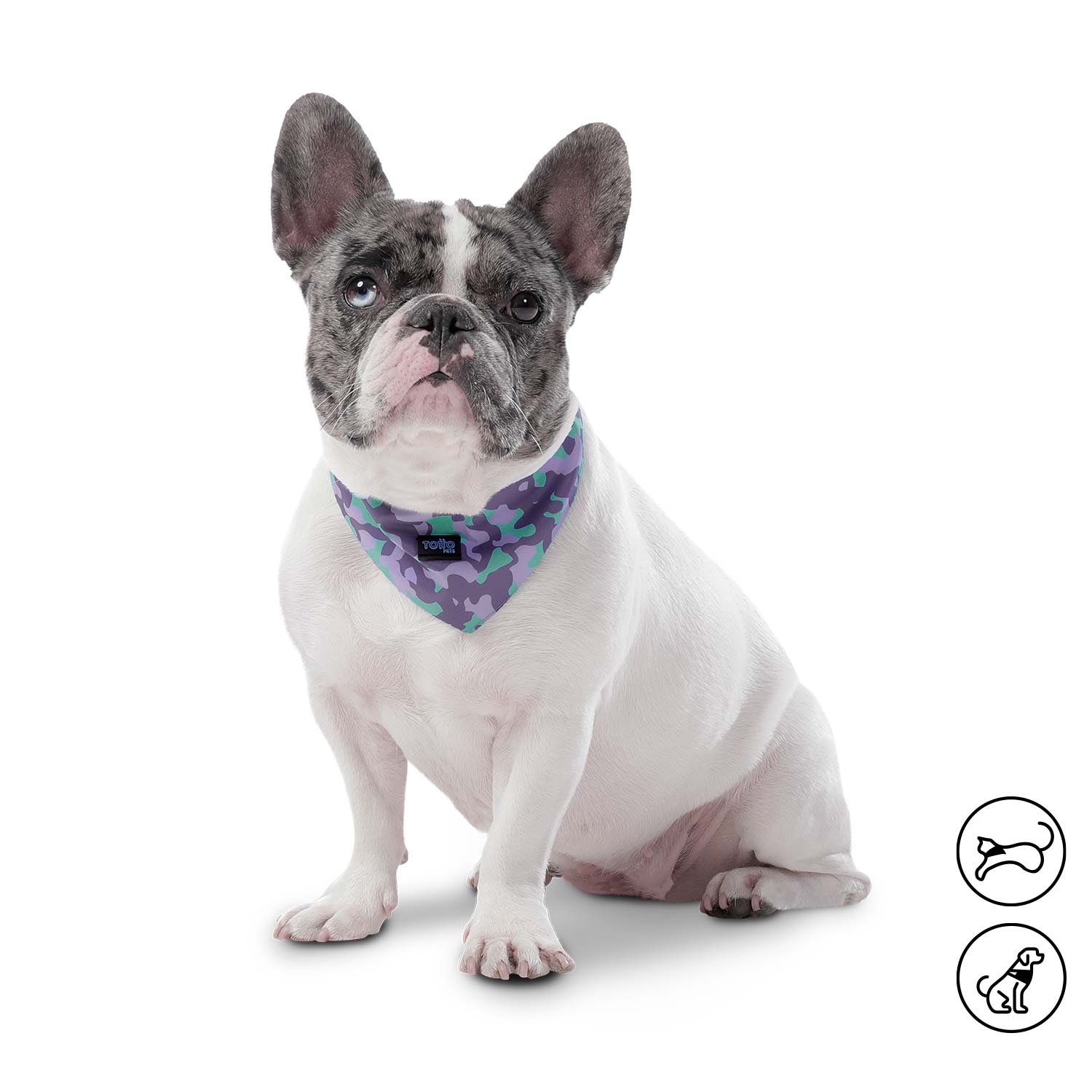 Pañuelo para perro Menta Doble Faz 2.0 Xl Morado