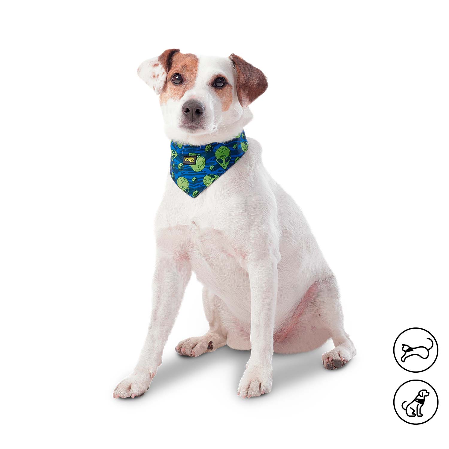 Pañuelo para perro Menta Doble Faz 2.0 Xl Azul