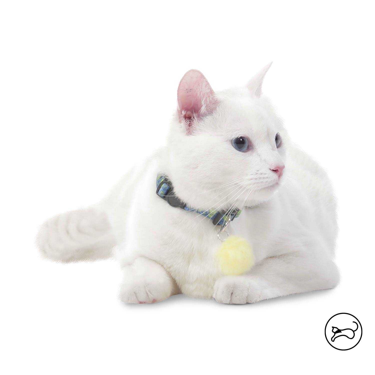 Collar para Gato Meow Azul