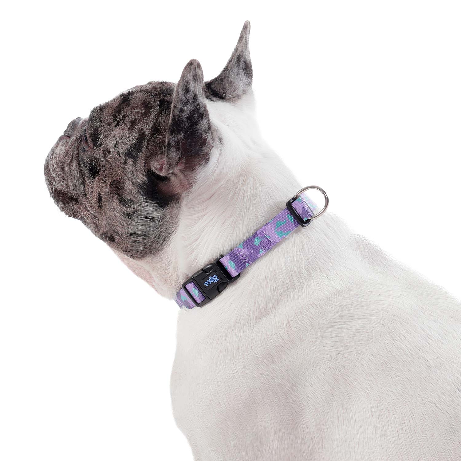 Collar para Perro Mylu Xl Morado