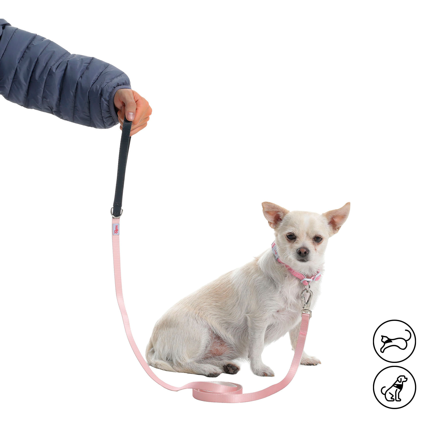 Correa para mascota Sencilla Odye S Rosada