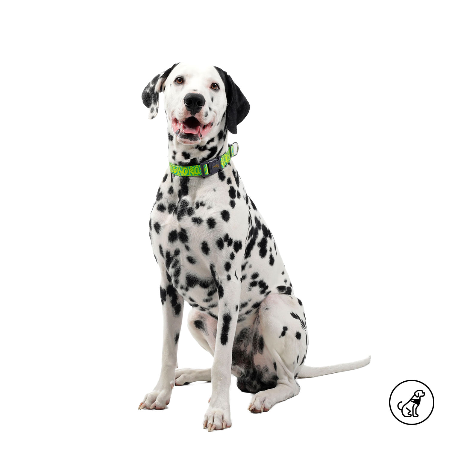 Collar para Perro Mylu Xl Amarillo