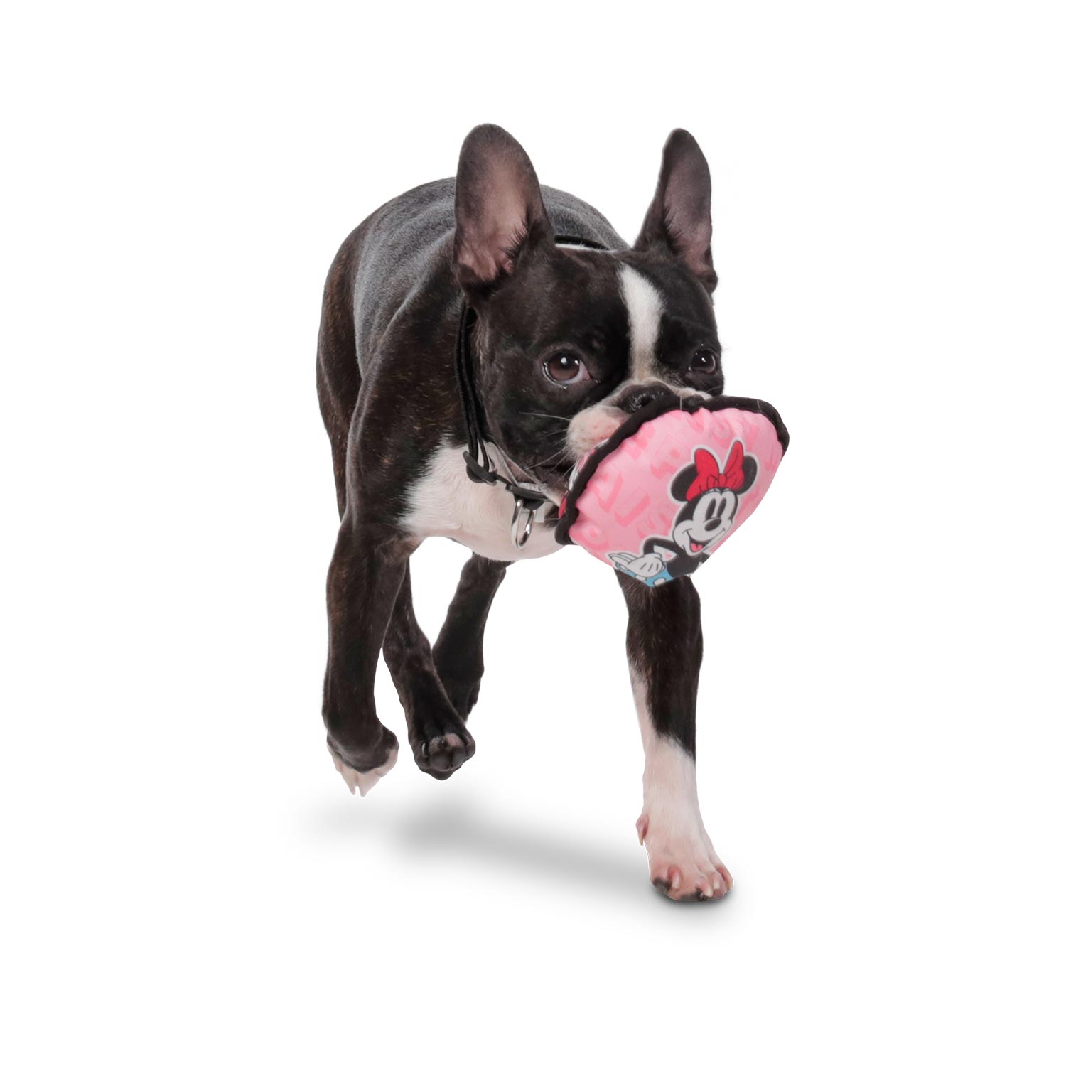 Juguete Disky Minnie Mouse Para Mascota