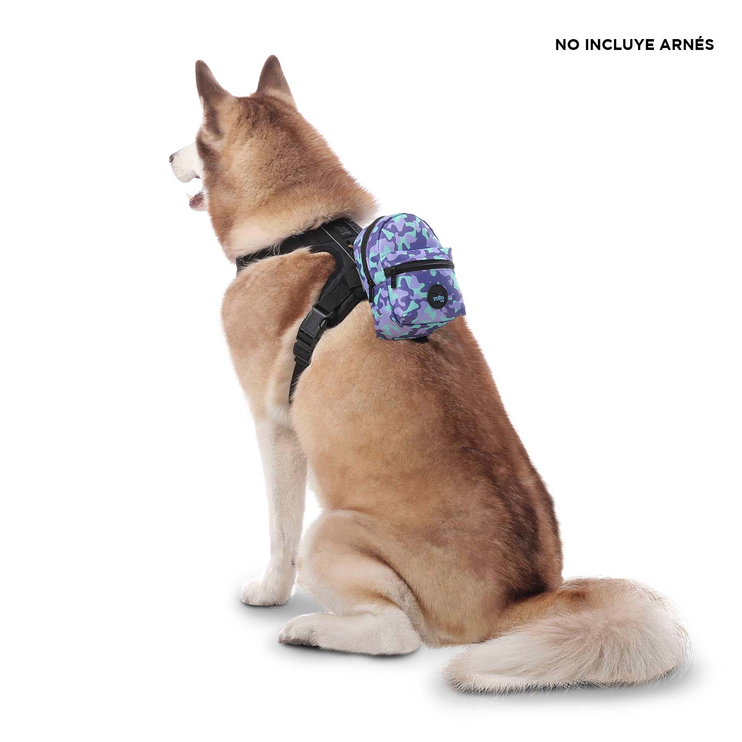 Morral para mascota Gary Morado