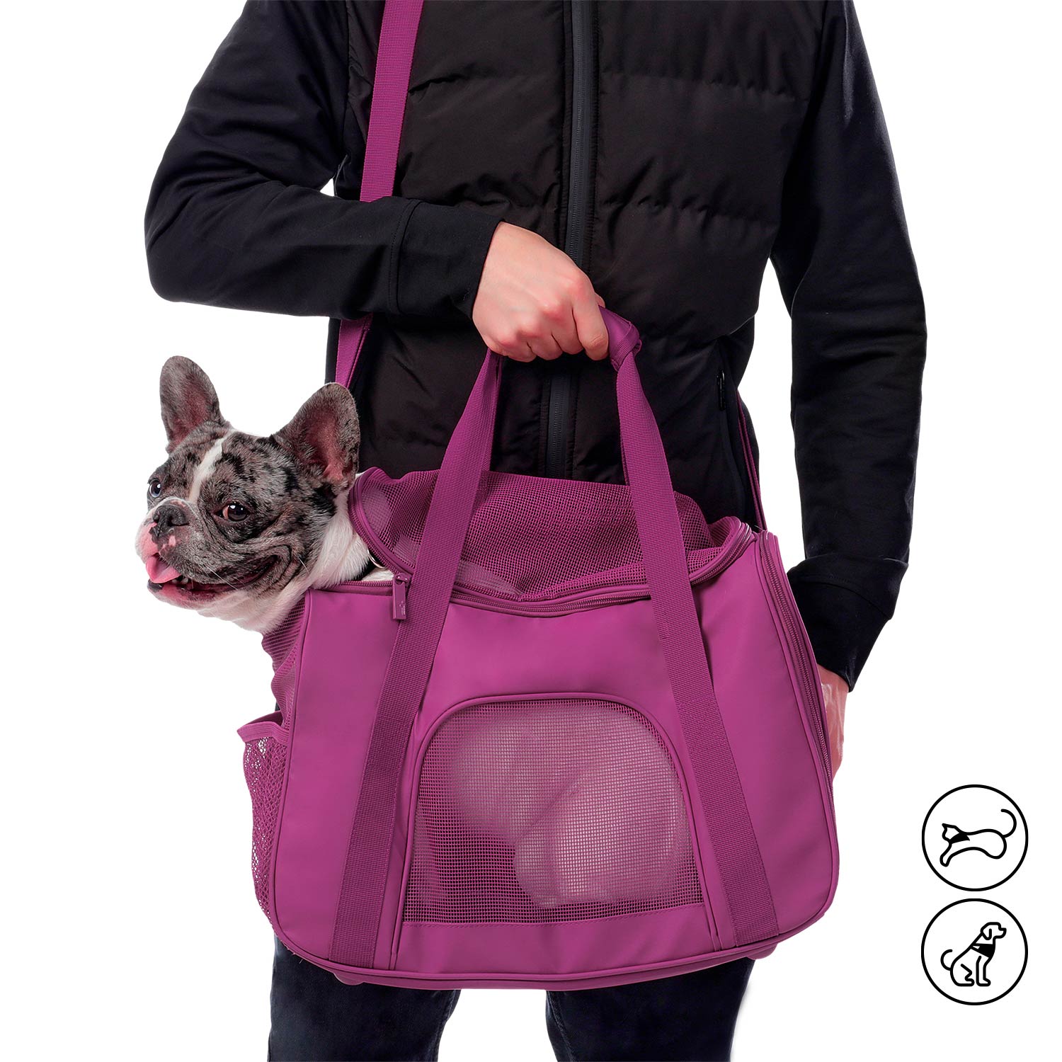 Tula cargadora para mascota Marley 2.0 Morado