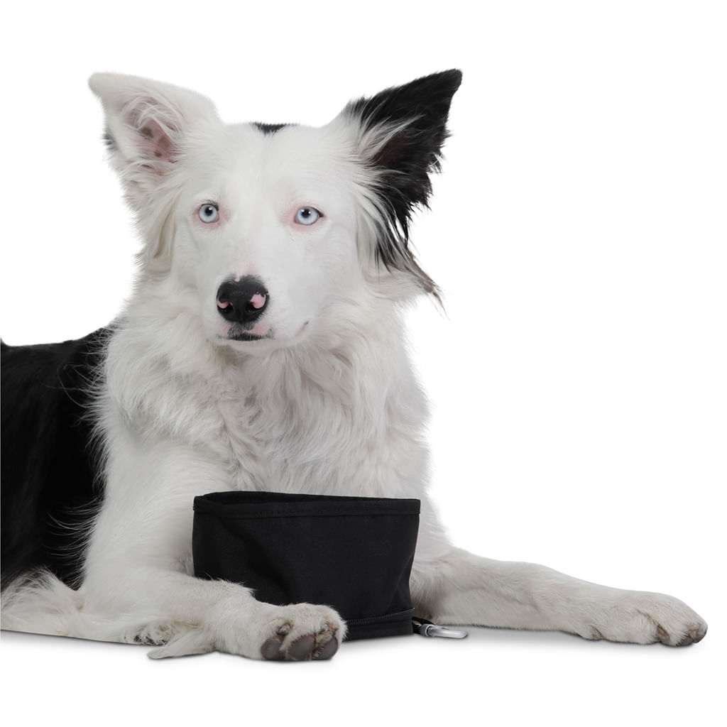 Comedero Bebedero para mascotas Portatil Vito Negro