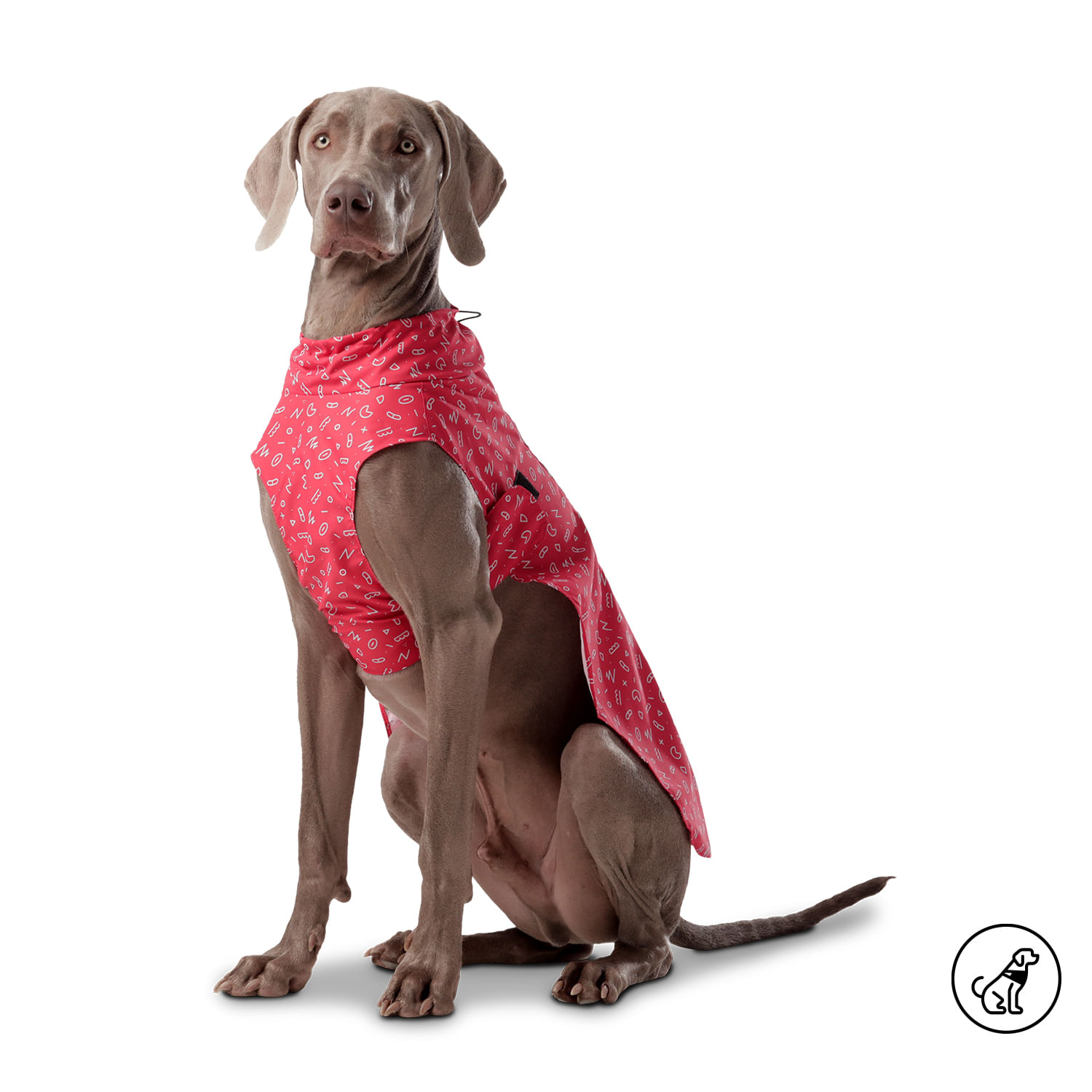 Capa Lluvia Mascota Sussy L