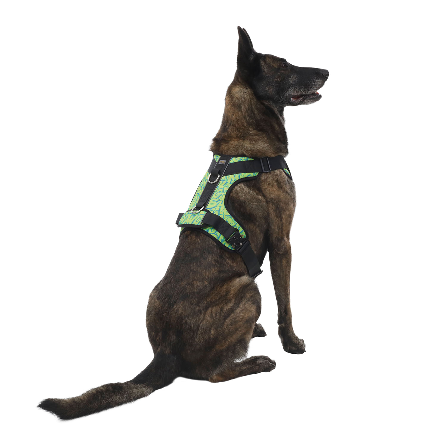 Arnés pechera para perro Draco Xl Amarillo/Verde