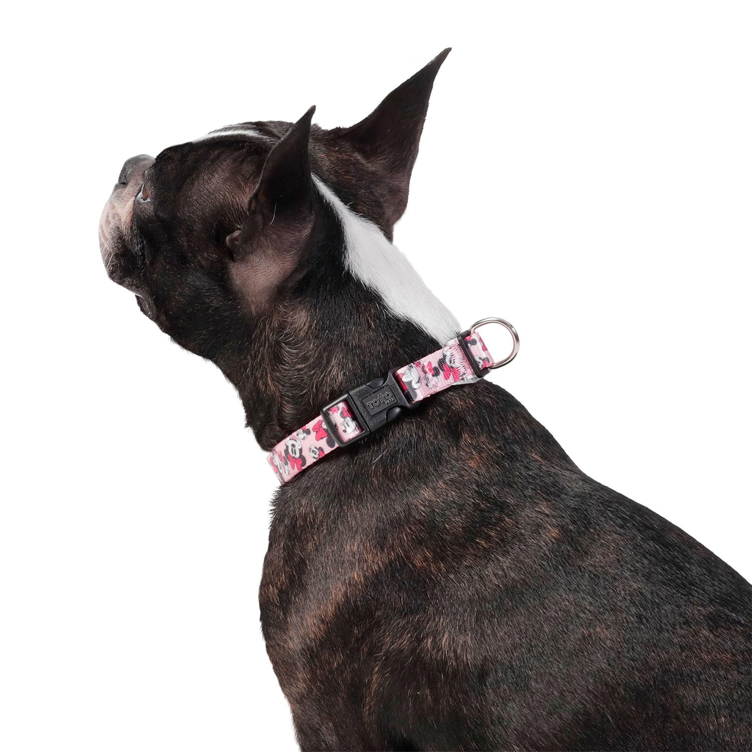 Collar Minnie Mouse Mylu Grande Para Perro