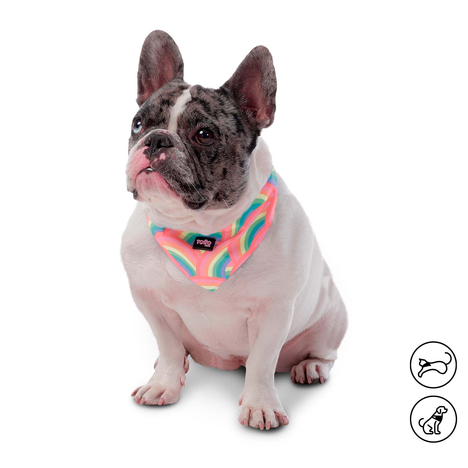 Pañuelo para perro Menta Doble Faz 2.0 Xl Rosado