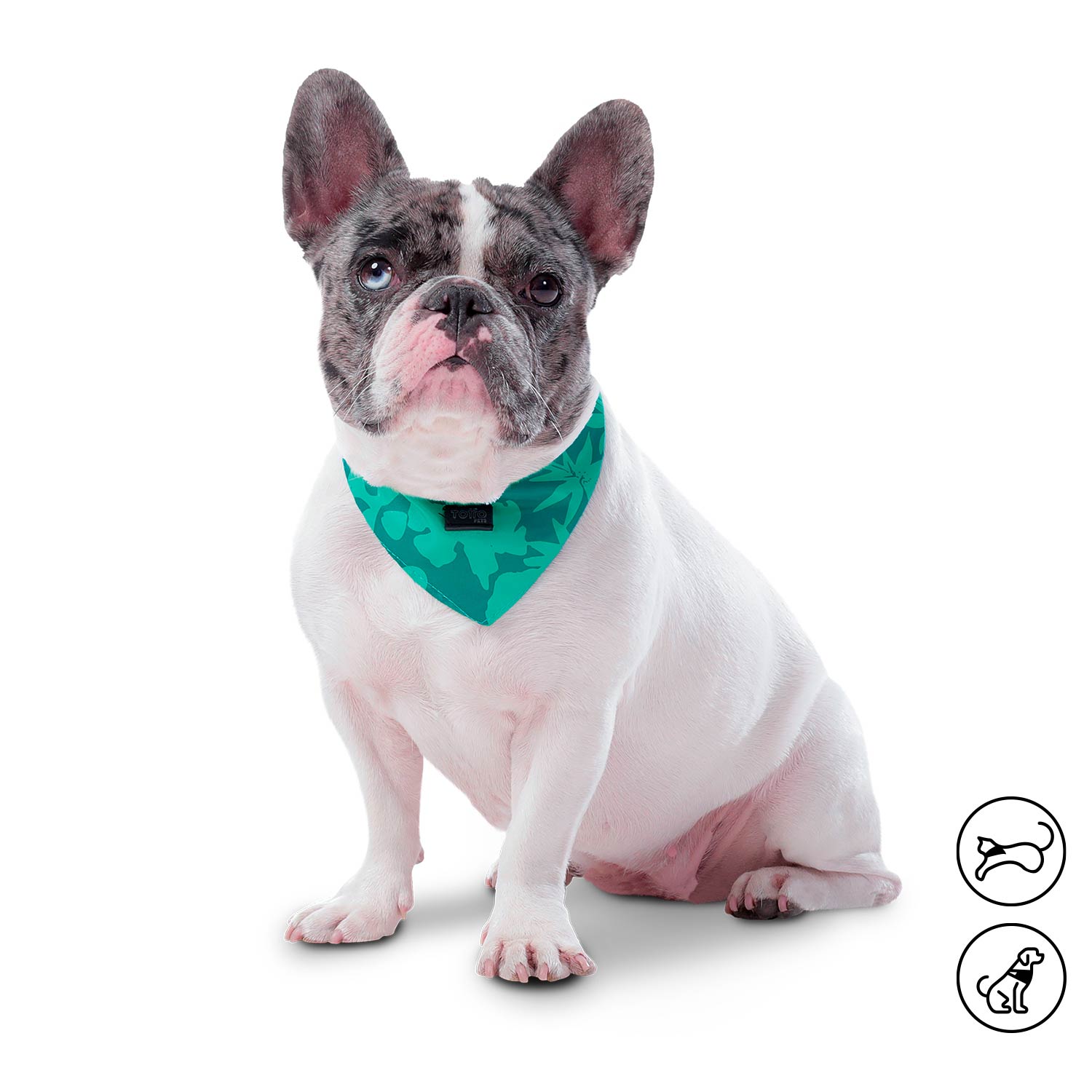 Pañoleta Menta 2.0 Grande Para Mascota