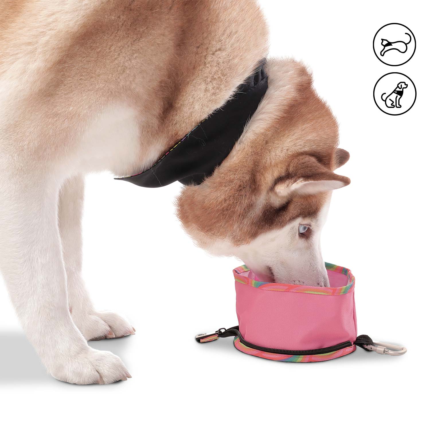 Comedero Bebedero para mascotas Portatil Vito Rosado