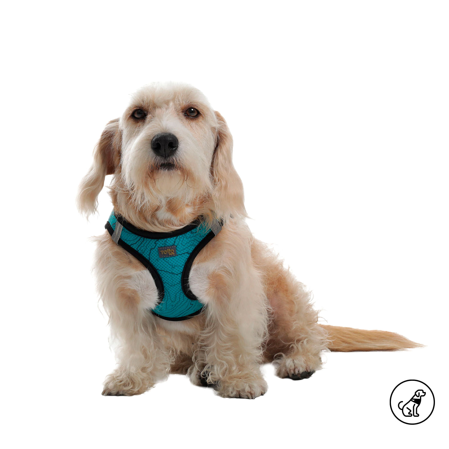 Arnés Pechera para Perro-Gato Toby M Verde
