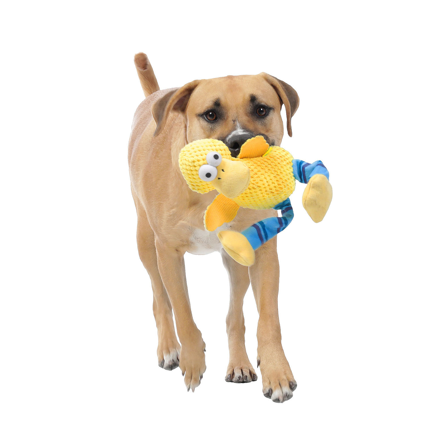 Juguete para mascota Patopatas Amarillo/Azul