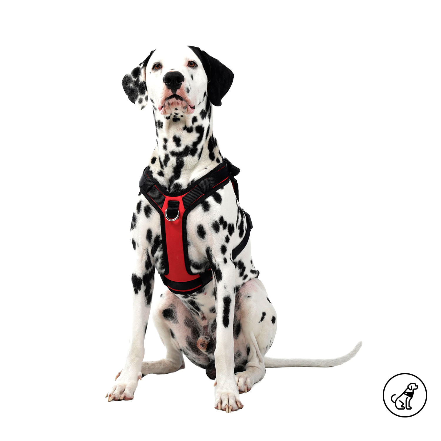 Arnés Pechera para Perro Rex L Rojo