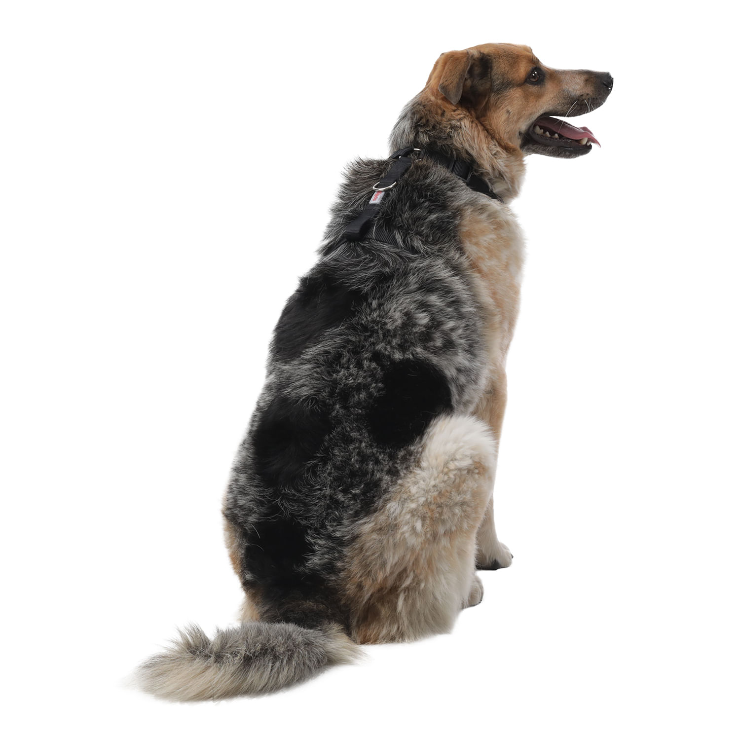 Arnés pechera para perro Taco Xl Rosado