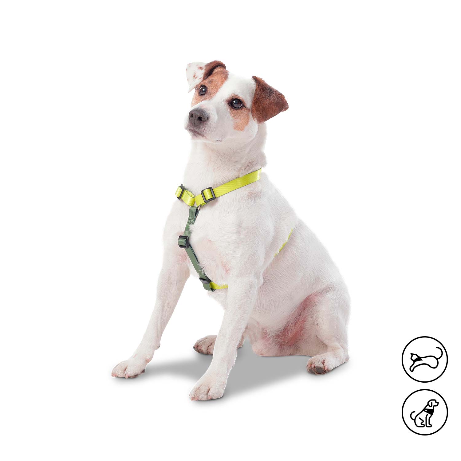 Arnés Figgo Grande Para Mascota