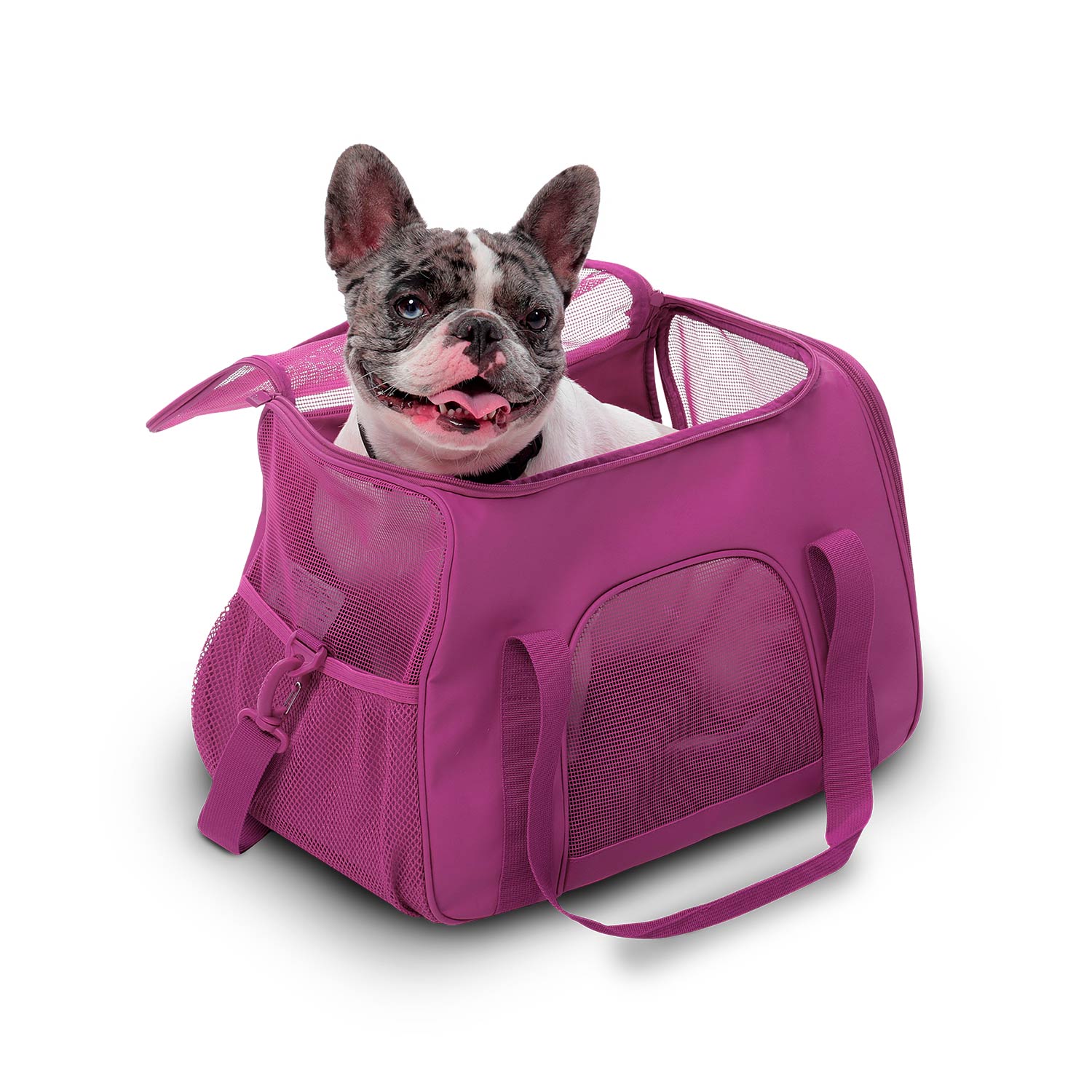 Tula cargadora para mascota Marley 2.0 Morado
