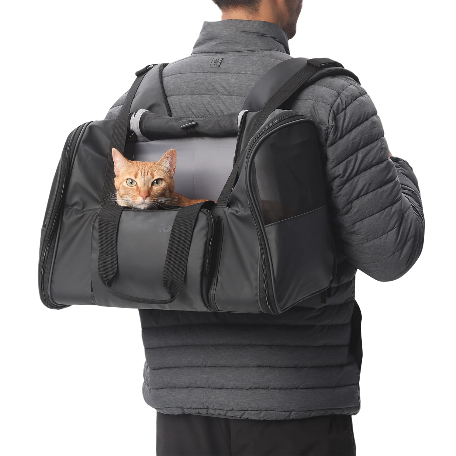 Cargador para mascota Rocco Negro