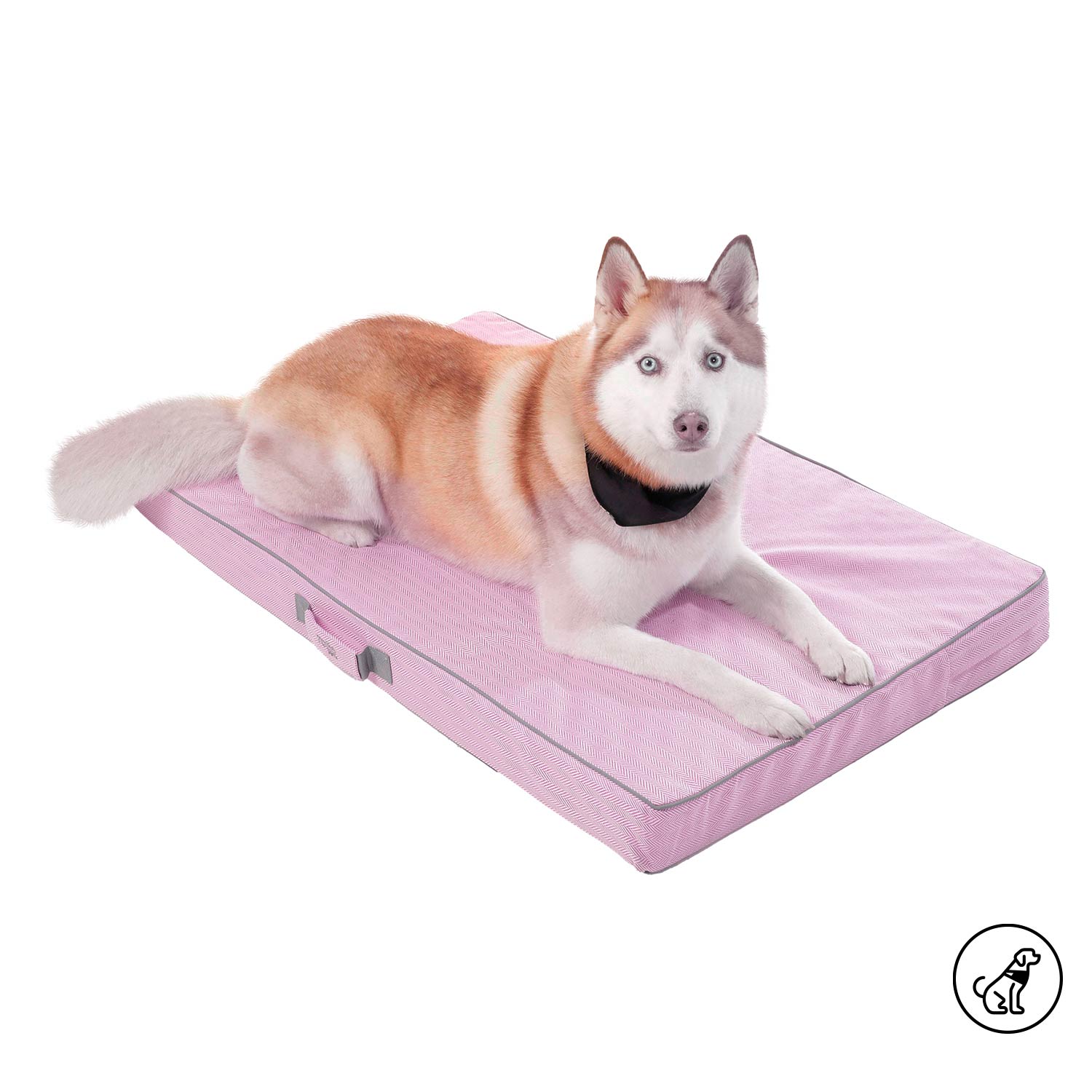 Cama para Perro Danko L Morada