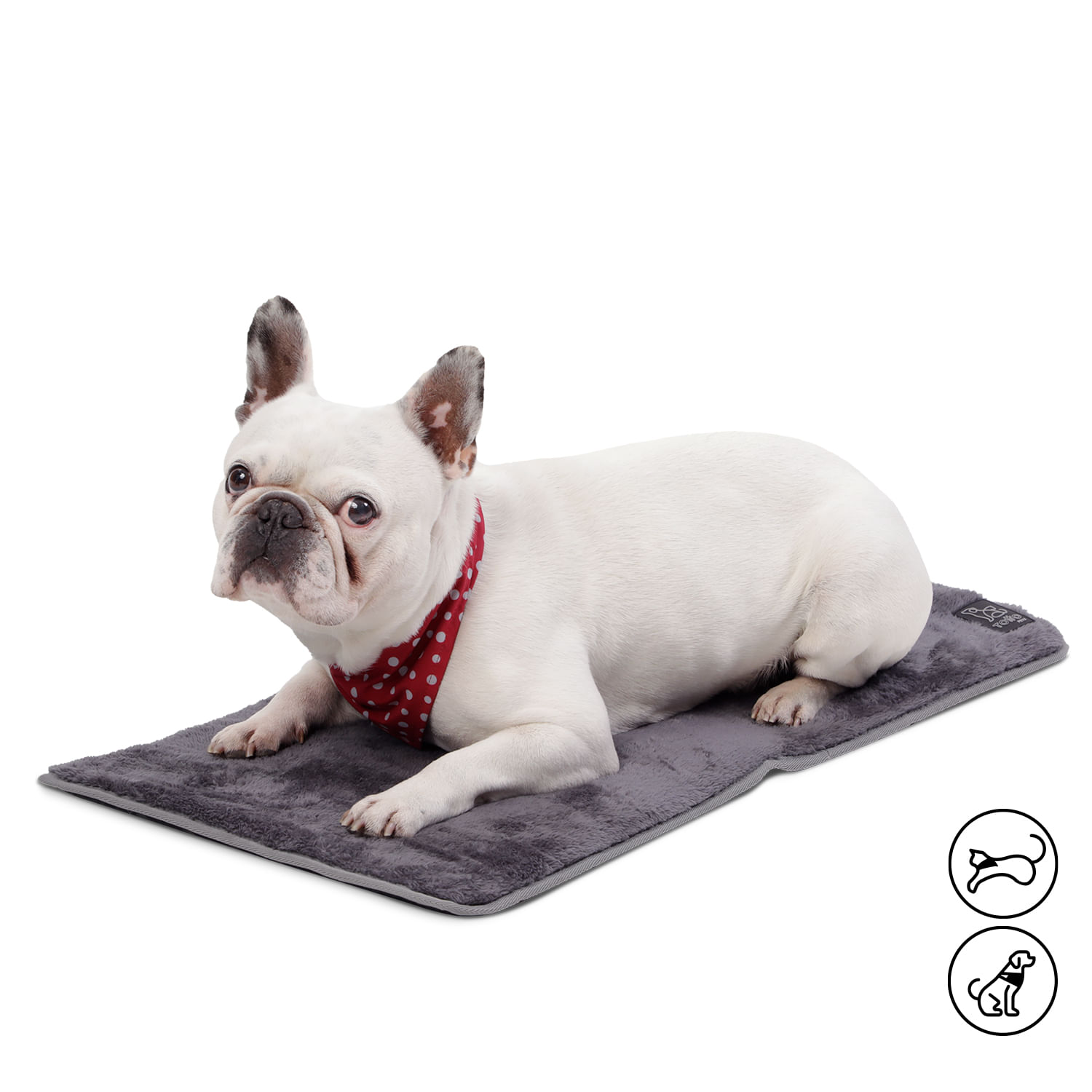 Cama Portatil Sherpy S