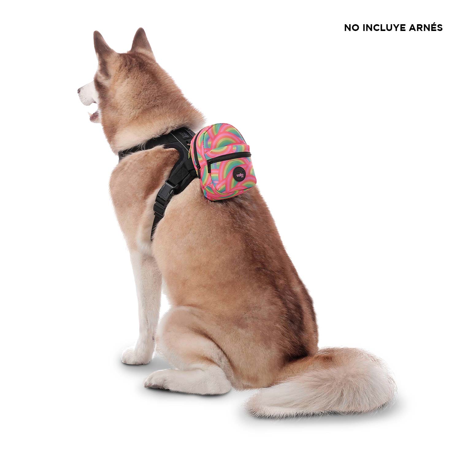 Morral para mascota Gary Rosado