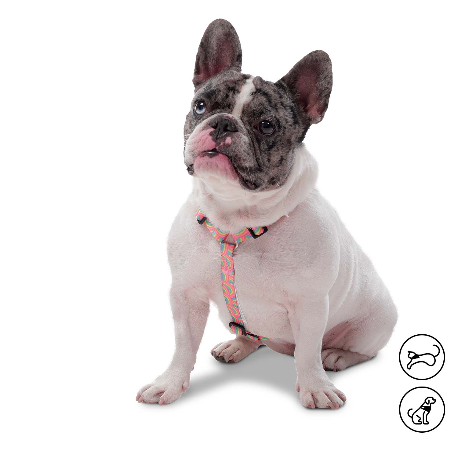 Arnés grande para Perro Figgo Xl Rosado