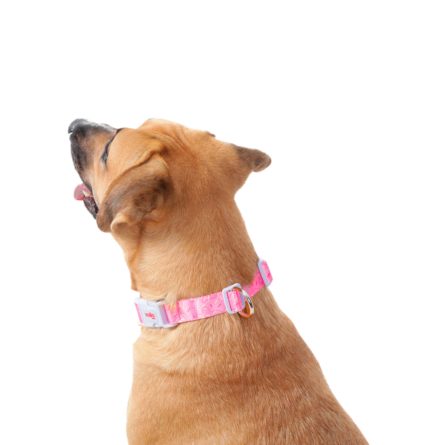 Collar para perro Mylu L Rosada