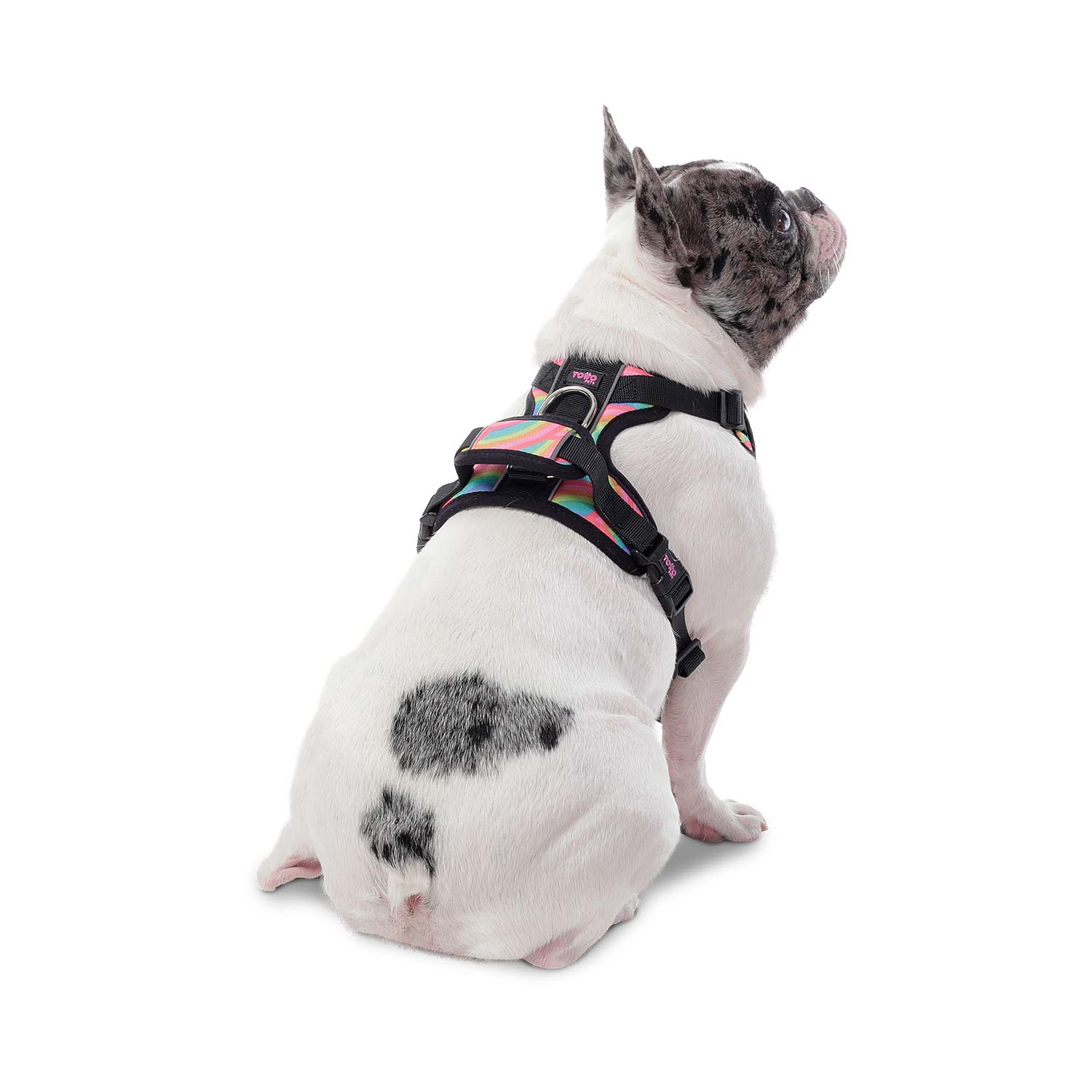 Arnés Pechera para Perro Heikul Xl Rosado