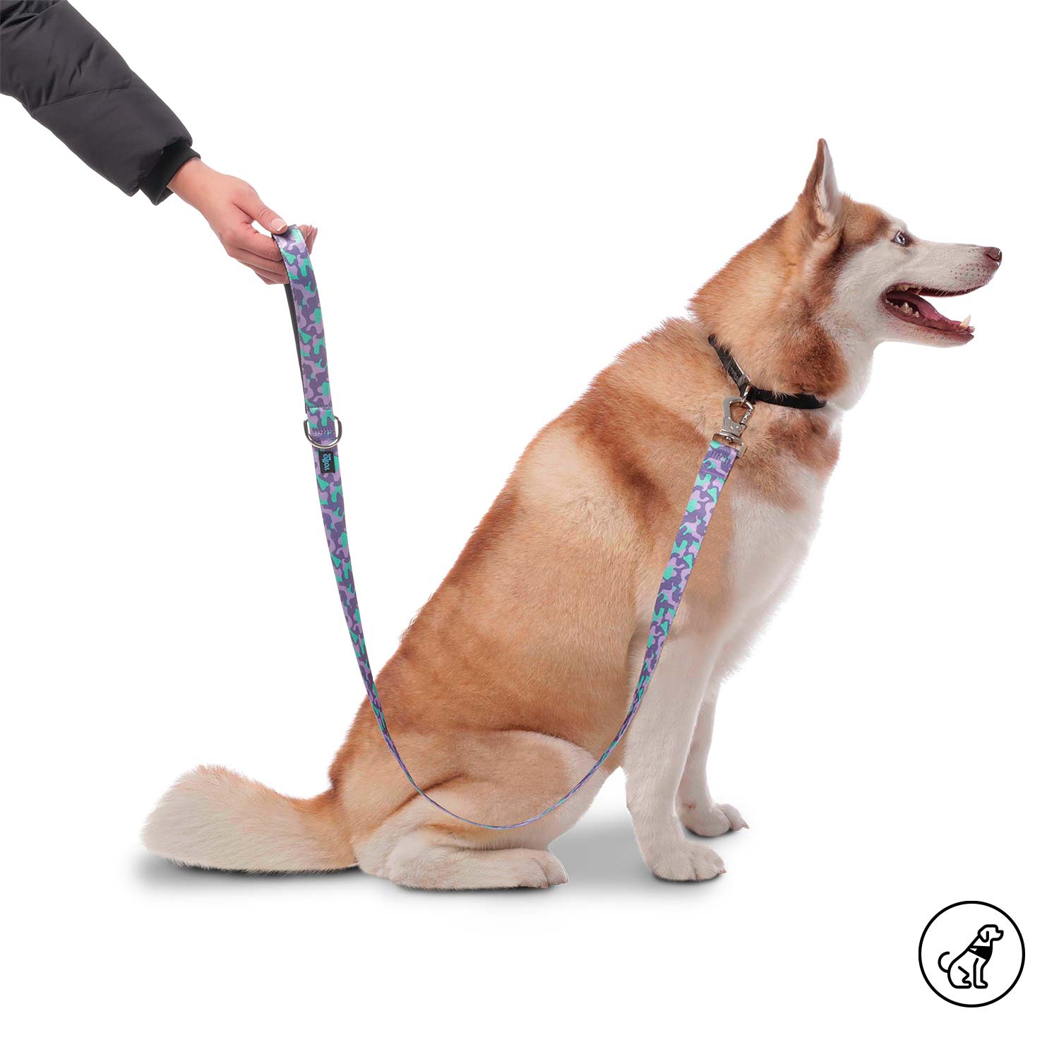Correa para mascota Sencilla Odye S Morada