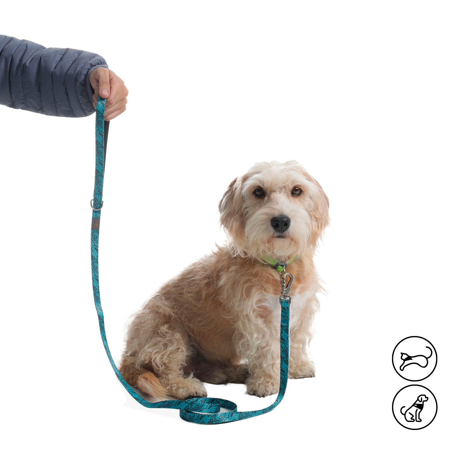 Correa para mascota Sencilla Odye S Verde