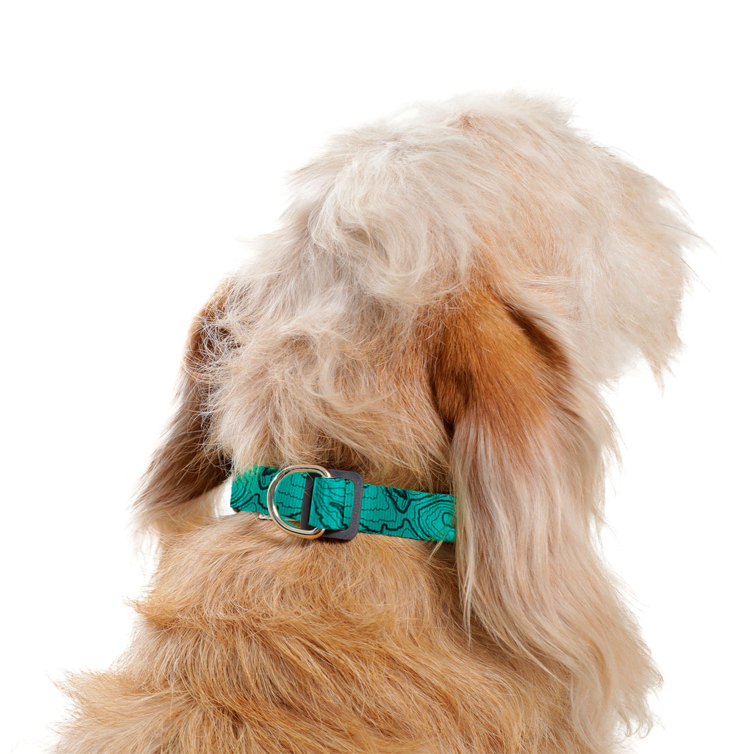 Collar para perro Mylu S Verde