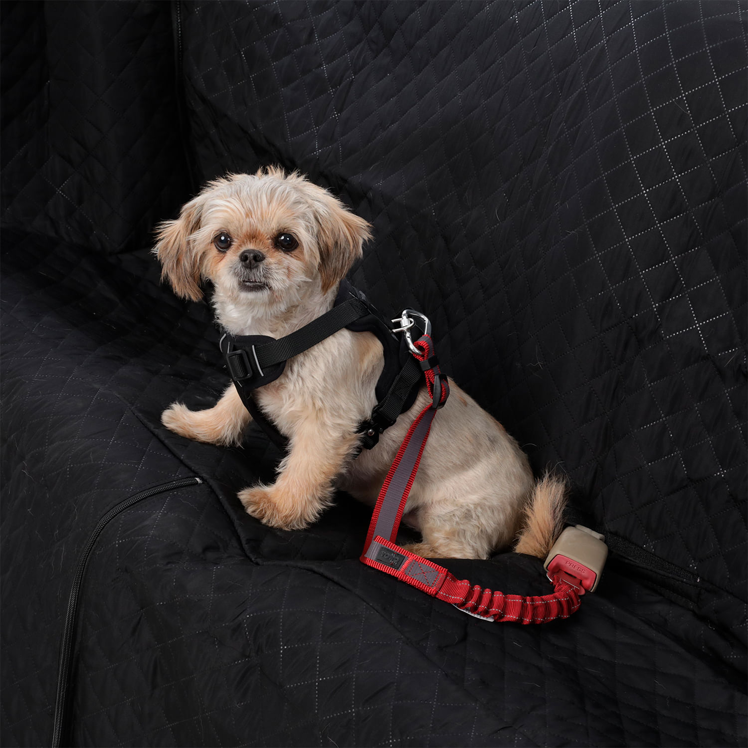 Correa para Perro Simba Rojo/Negro