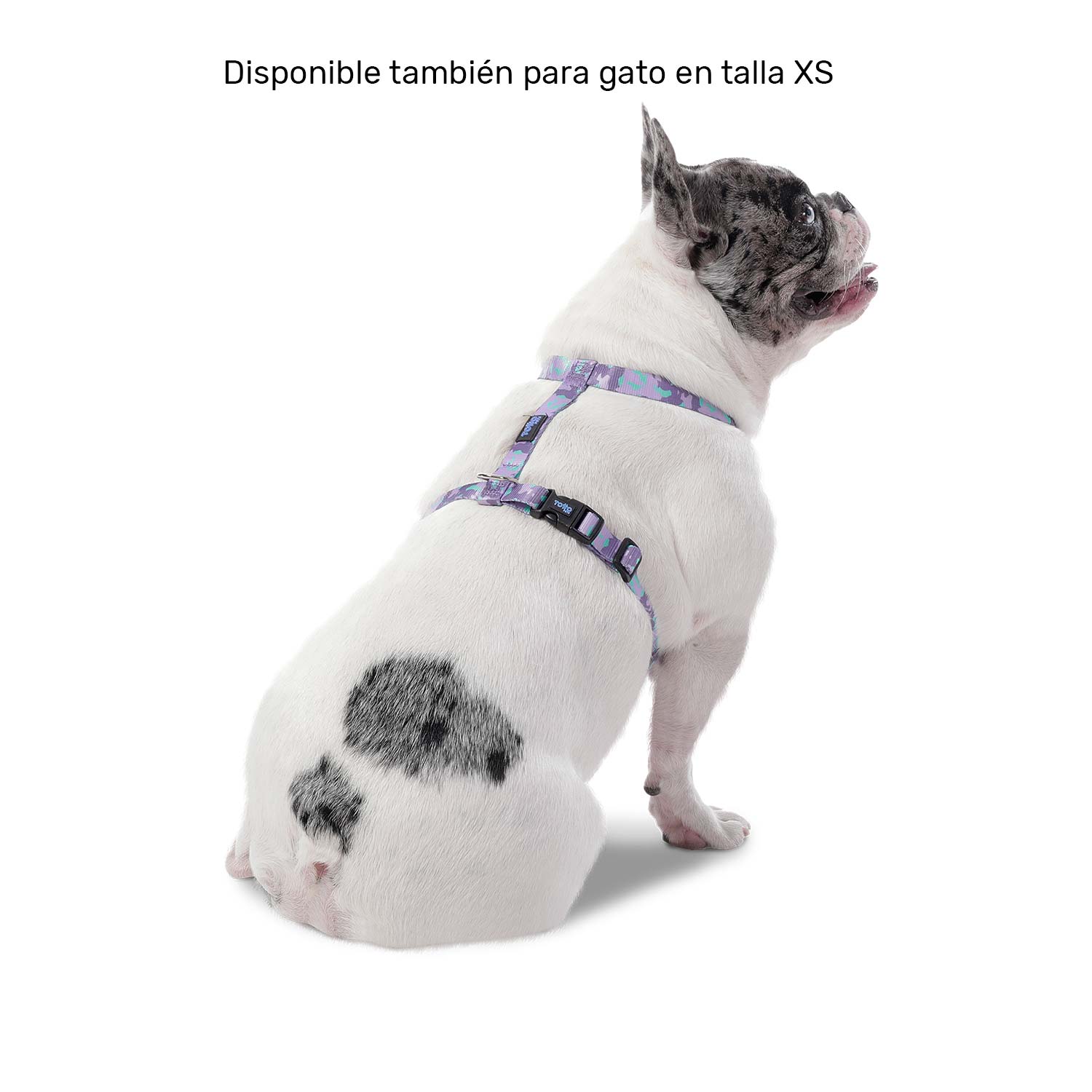 Arnés grande para Perro Figgo Xl Morado