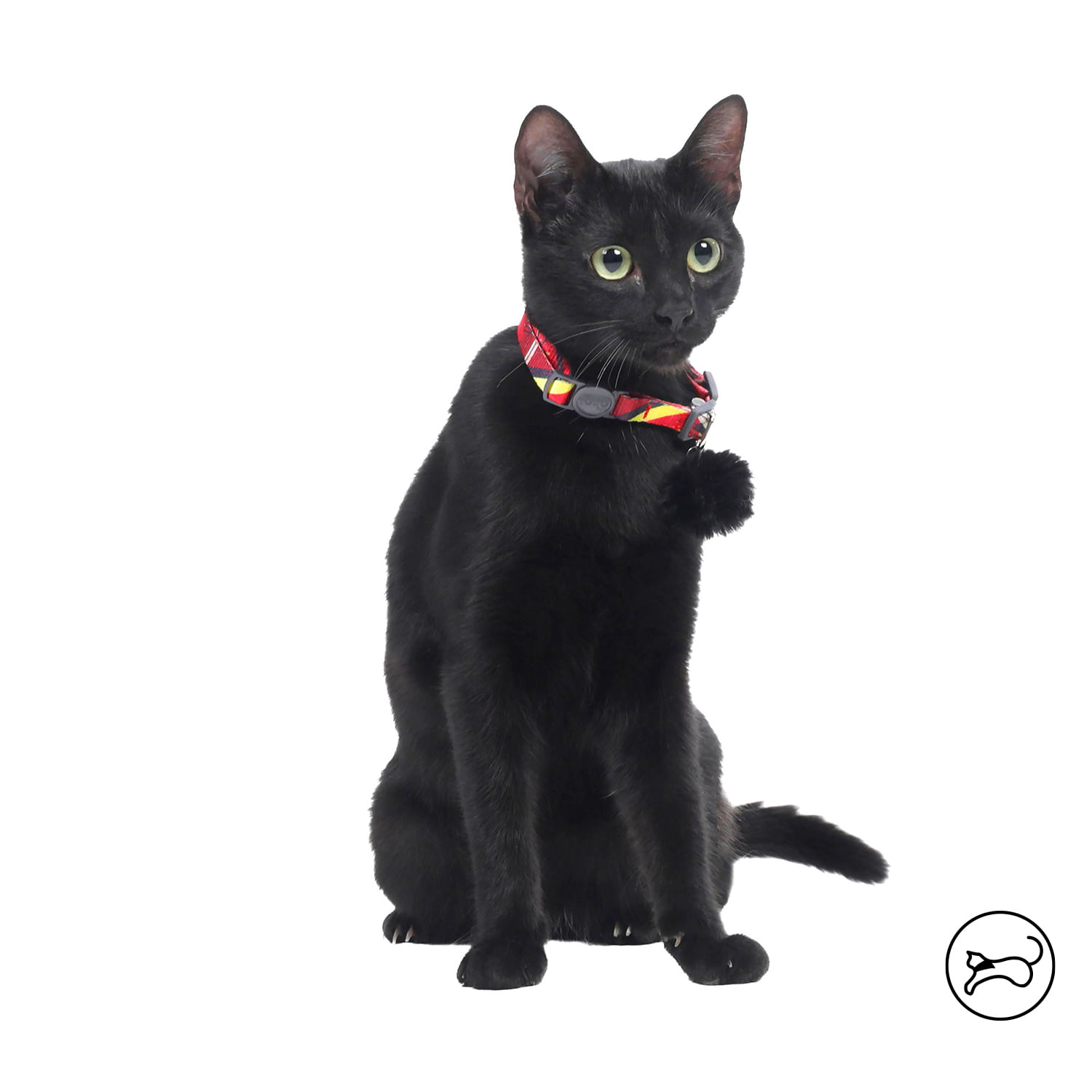 Collar para Gato Meow color Rojo