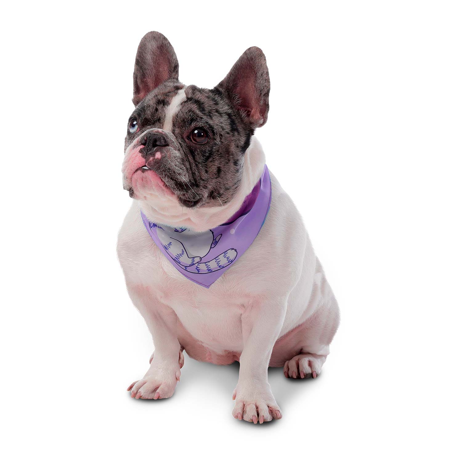 Pañuelo para perro Menta Doble Faz 2.0 Xl Azul