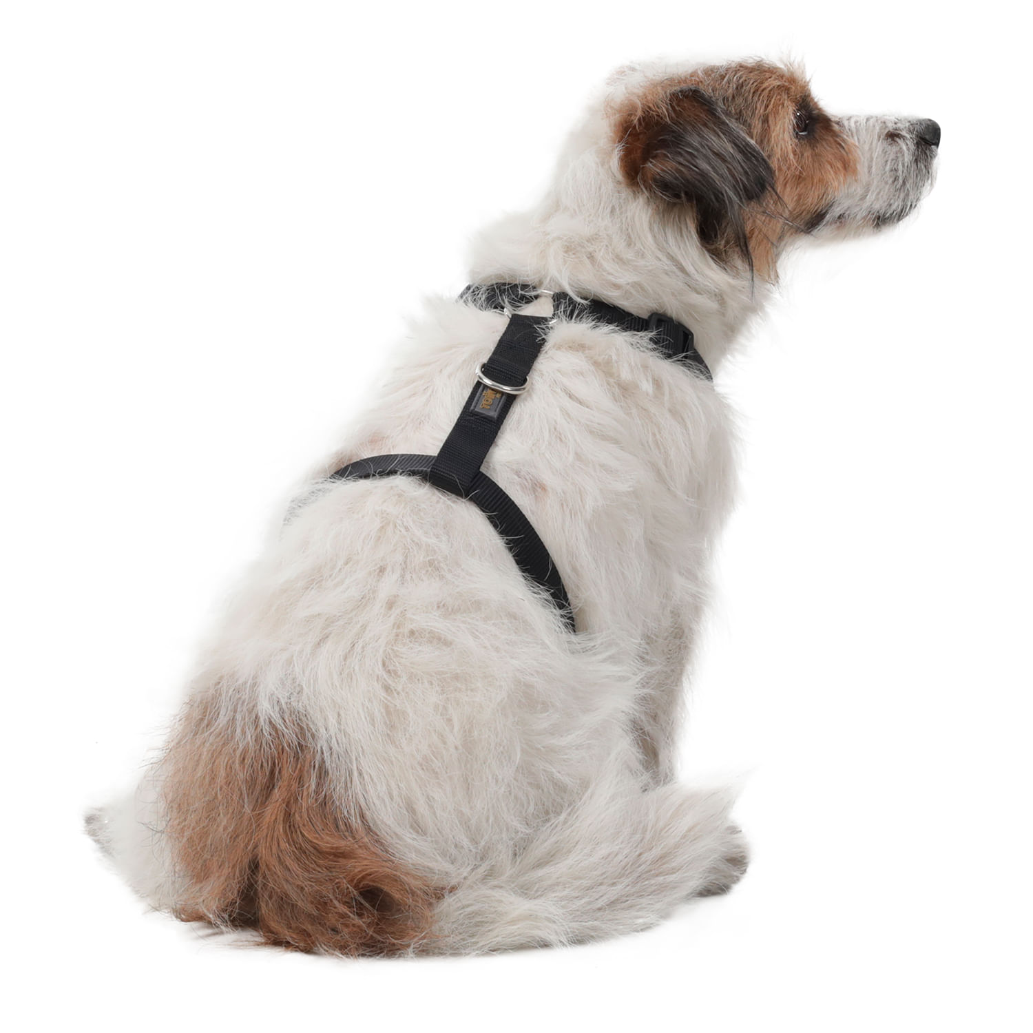 Arnés pechera para perro Taco M Amarillo/Verde
