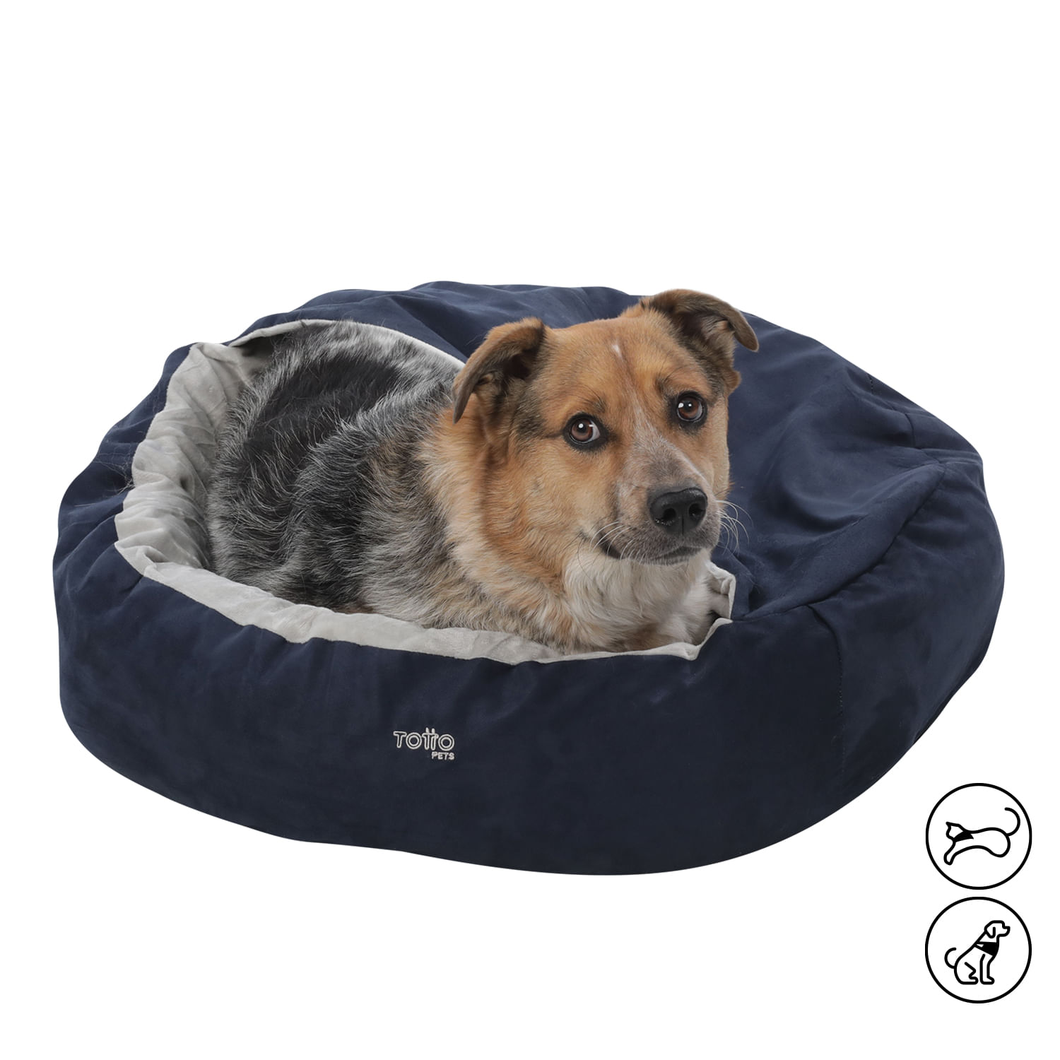 Cama para Perro Alpha M Gris