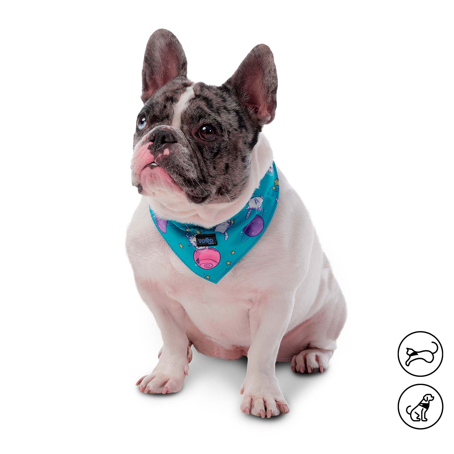 Pañuelo para perro Menta Doble Faz 2.0 Xl Azul