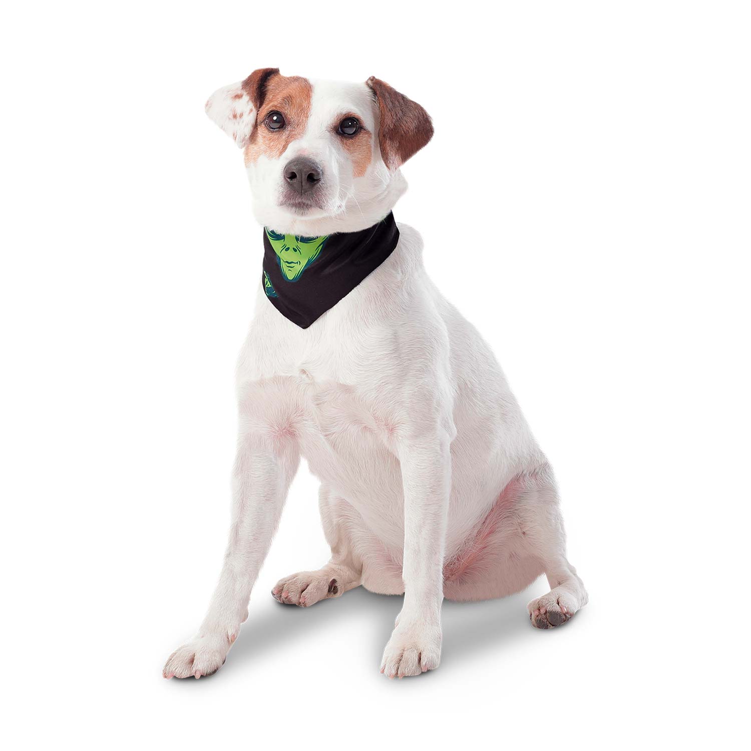 Pañuelo para perro Menta Doble Faz 2.0 Xl Azul